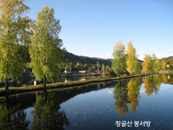 돈돈이 이미지