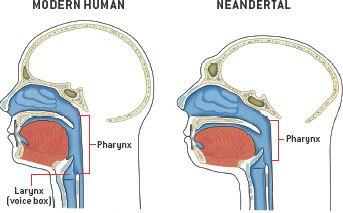 유발 하라리-사피엔스 1화 | 인스티즈