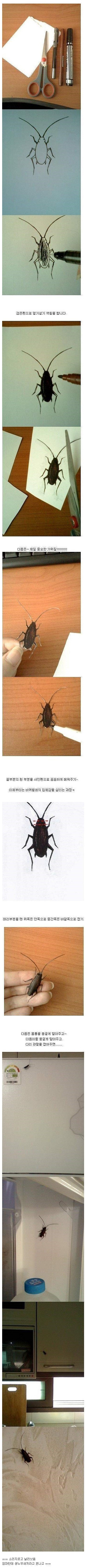  바퀴벌레 레전드 | 인스티즈