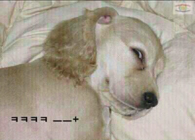 앙 이미지