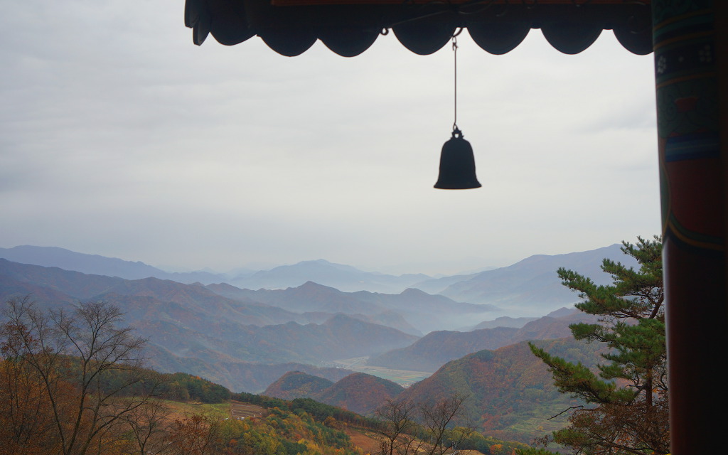 오지티 이미지