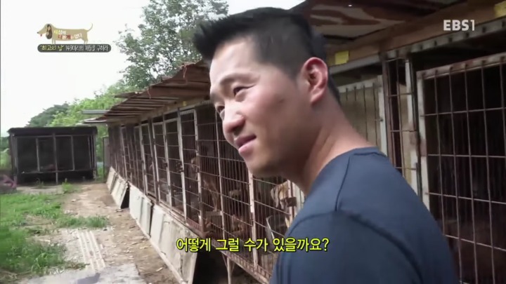 제발 살려줘. .. 우리주변의 아기들 이야기야 | 인스티즈