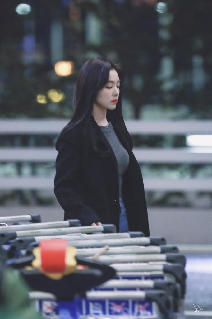 2019 AAA 레드벨벳 아이린(+출입국사진).jpgif | 인스티즈