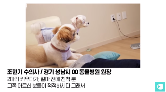폭염 속 버려진 똘똘이가 모니로 개명한 사연 | 인스티즈