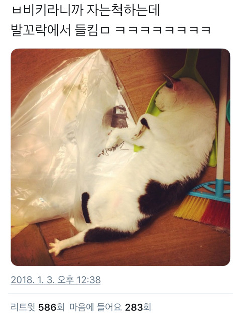자는 척 하다가 들킴; | 인스티즈