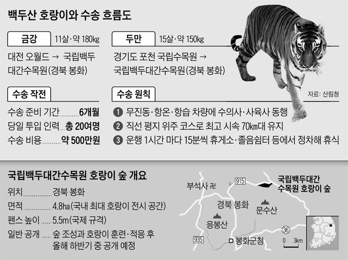 경북의 호랑이판 쥬라기 공원 | 인스티즈