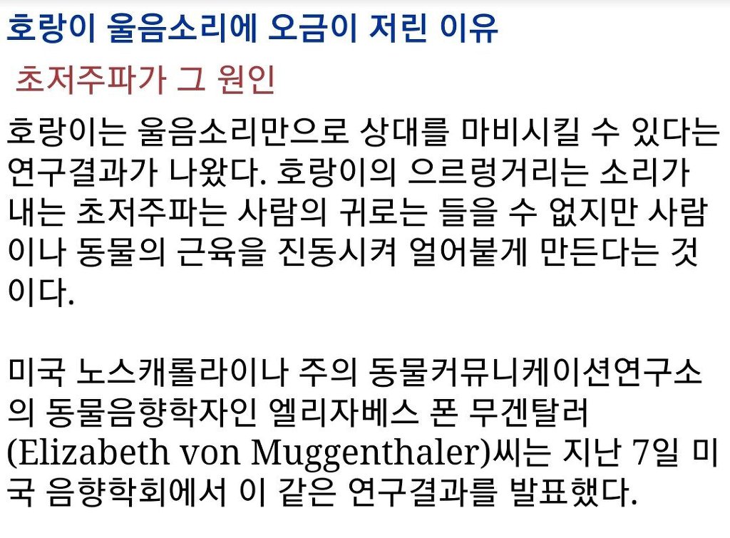호랑이를 마주치면 꼼짝 못하는 이유 | 인스티즈