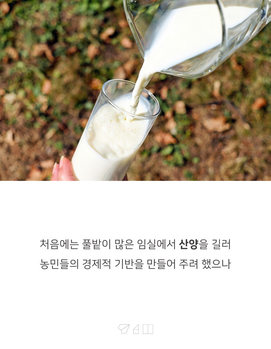 대한민국 치즈의 숨겨진 비밀 | 인스티즈