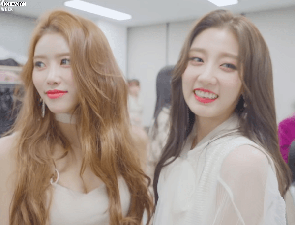 본인들이 러블리즈의 미인이라고 주장하는 멤버 2명.gif | 인스티즈