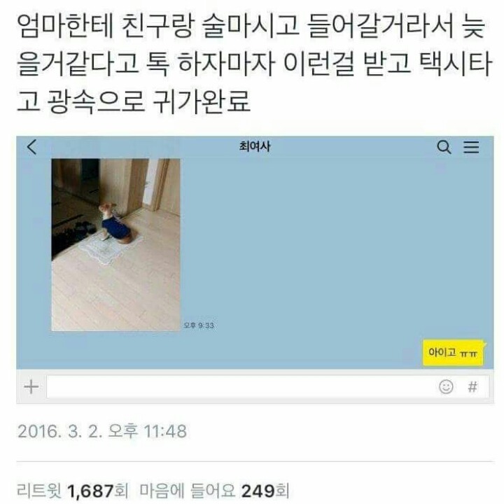 엄마한테 친구랑 술마시고 간다고 톡했더니 | 인스티즈
