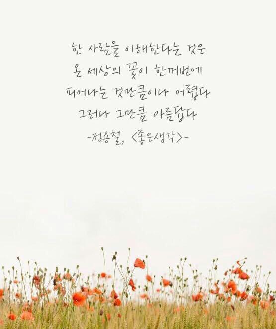 한잎 이미지