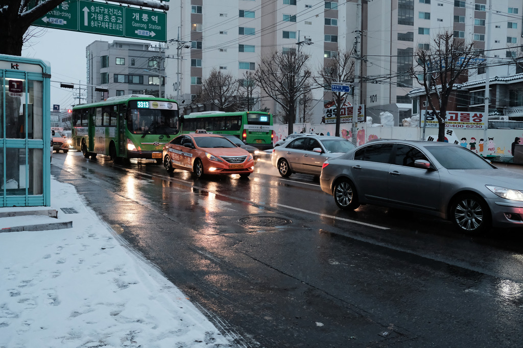 눈오는 오늘, 홀린듯이 카메라 들고 나가서 찍은 스냅사진 | 인스티즈