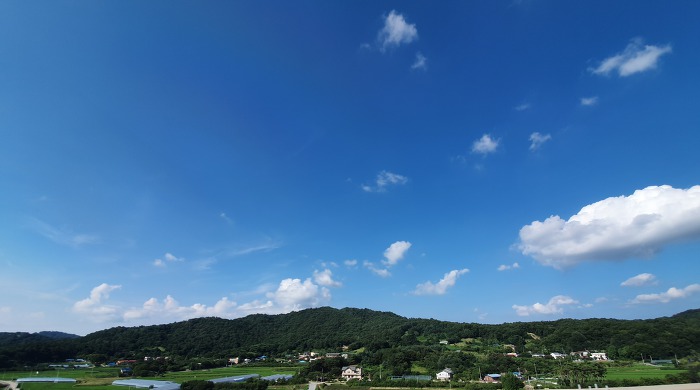 99A5F43E5D47A19427BAEA