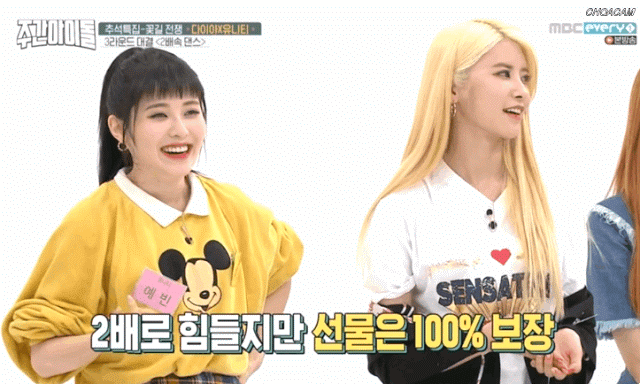 두집살림하다 털리는 다이아+유니티 예빈 ㅋㅋㅋㅋㅋㅋㅋㅋㅋㅋ.jpgif | 인스티즈