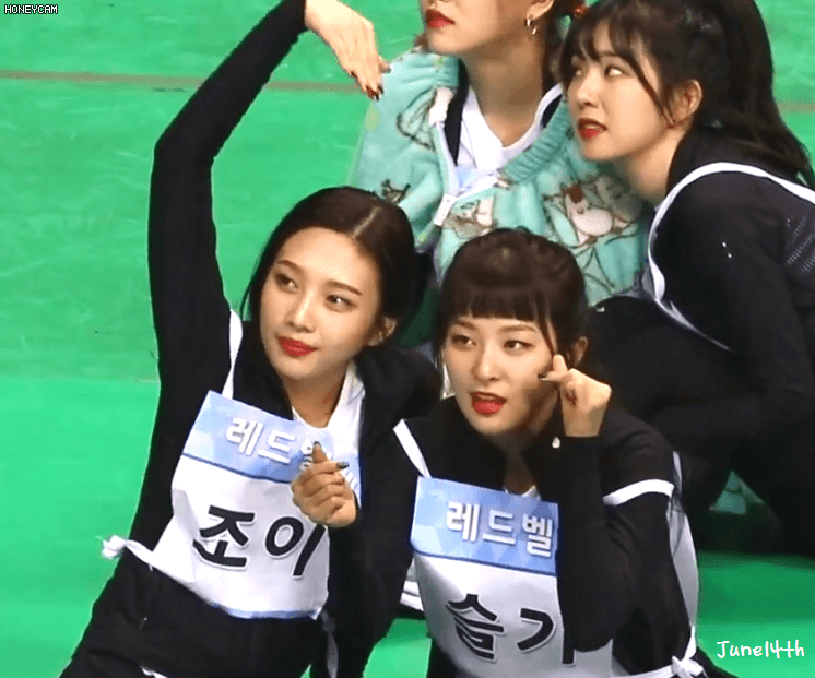 귀여운 슬기와 조이.gif | 인스티즈