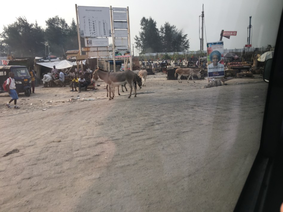 아프리카 나이지리아 현지 분위기 | 인스티즈