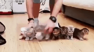 사진을 찍기위한 무의미한 노력 | 인스티즈