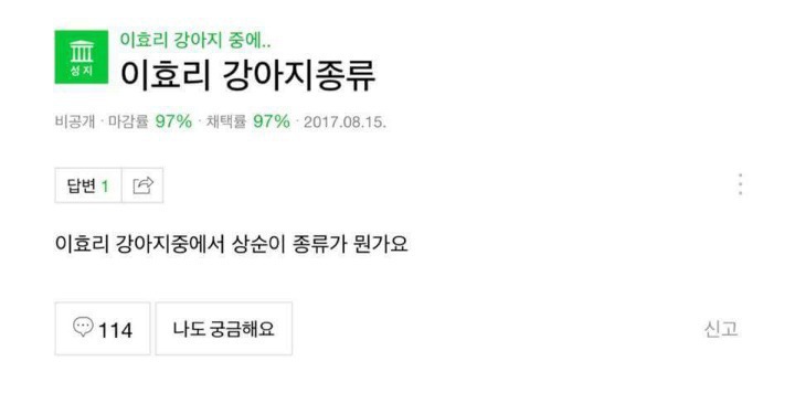 이효리 강아지 종류 | 인스티즈