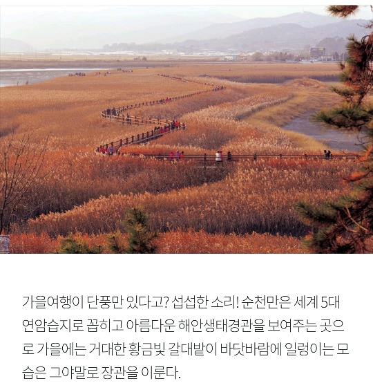 [국내여행] 가을가을한 국내 낭만 여행지 BEST 5 | 인스티즈