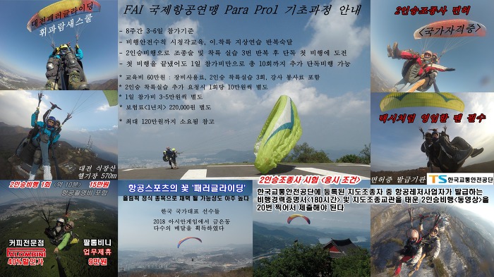 팔롬비니 이미지