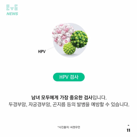 보지/자지 건강에 관심이 많은 당신에게 | 인스티즈