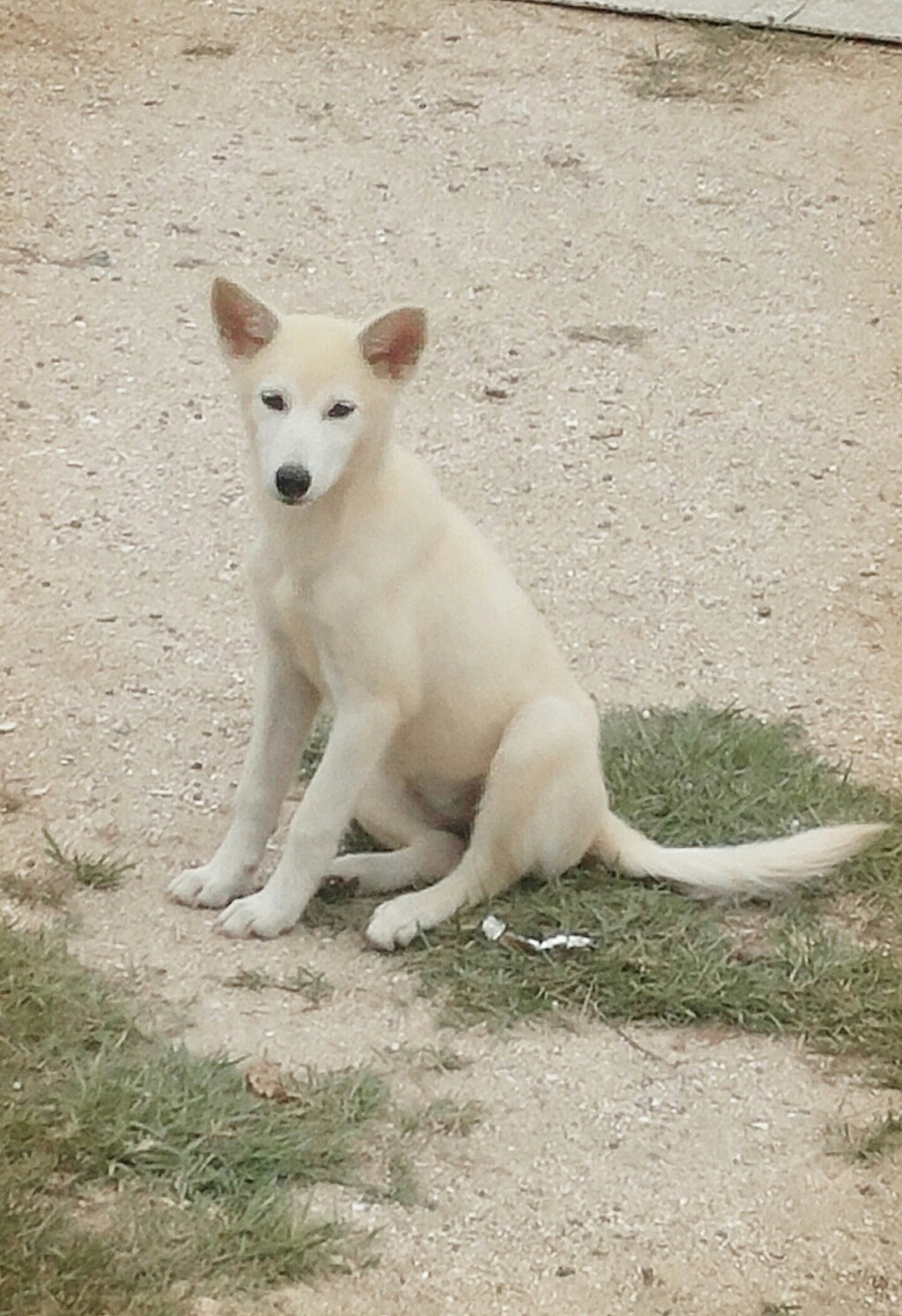 마당안집 이미지