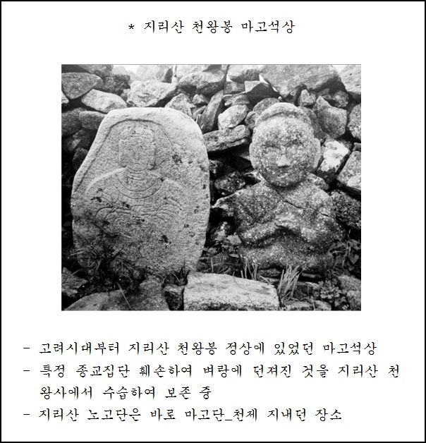 마고 이미지