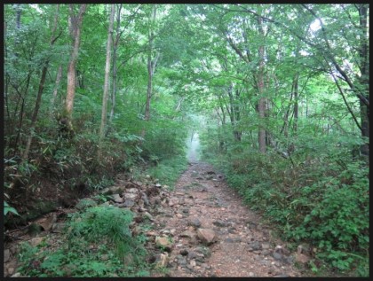 수석이용원 이미지