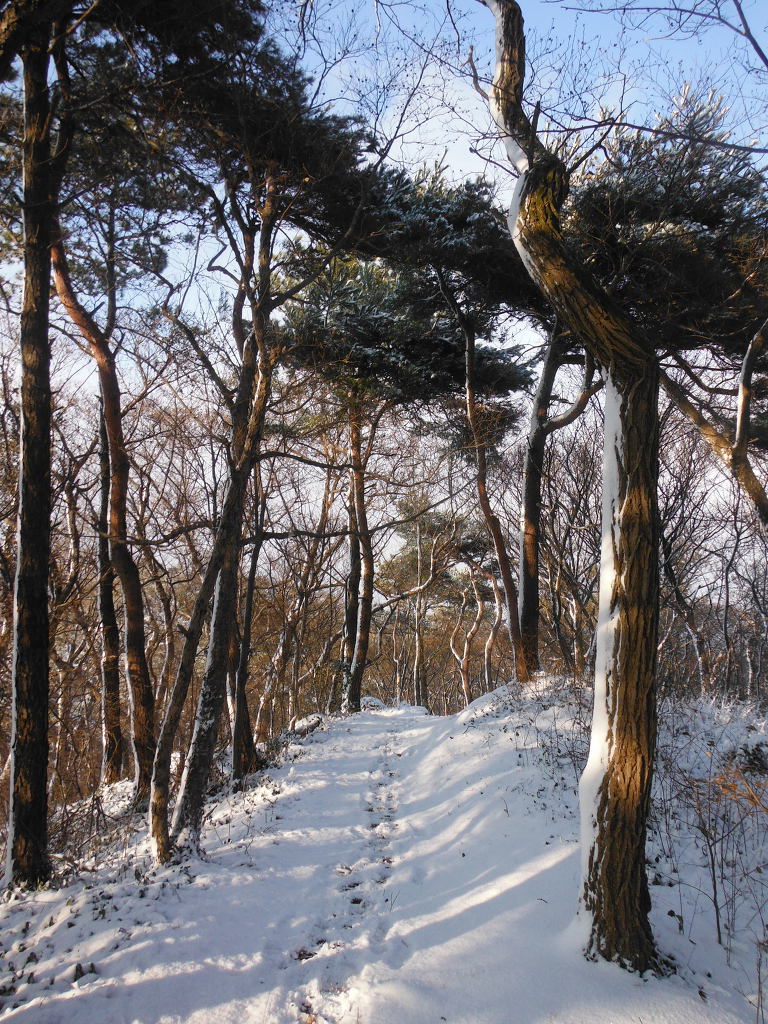 어등산호남대 이미지