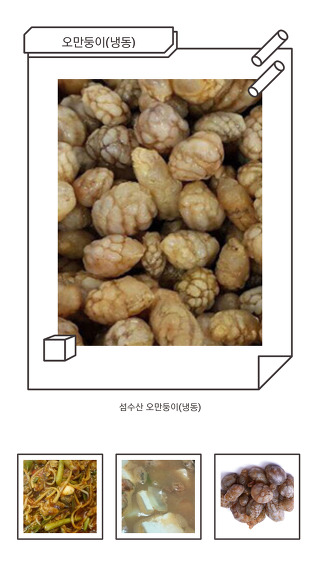 통영어패류 이미지