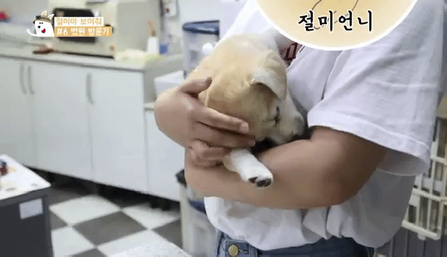 3 - 짱절미의 병원 방문기.jpgif | 인스티즈