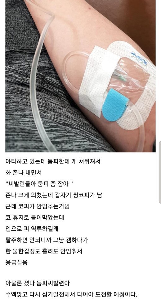 둠피스트가 하향되야 하는 이유 | 인스티즈
