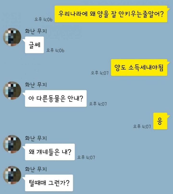 순수한 와이프 | 인스티즈