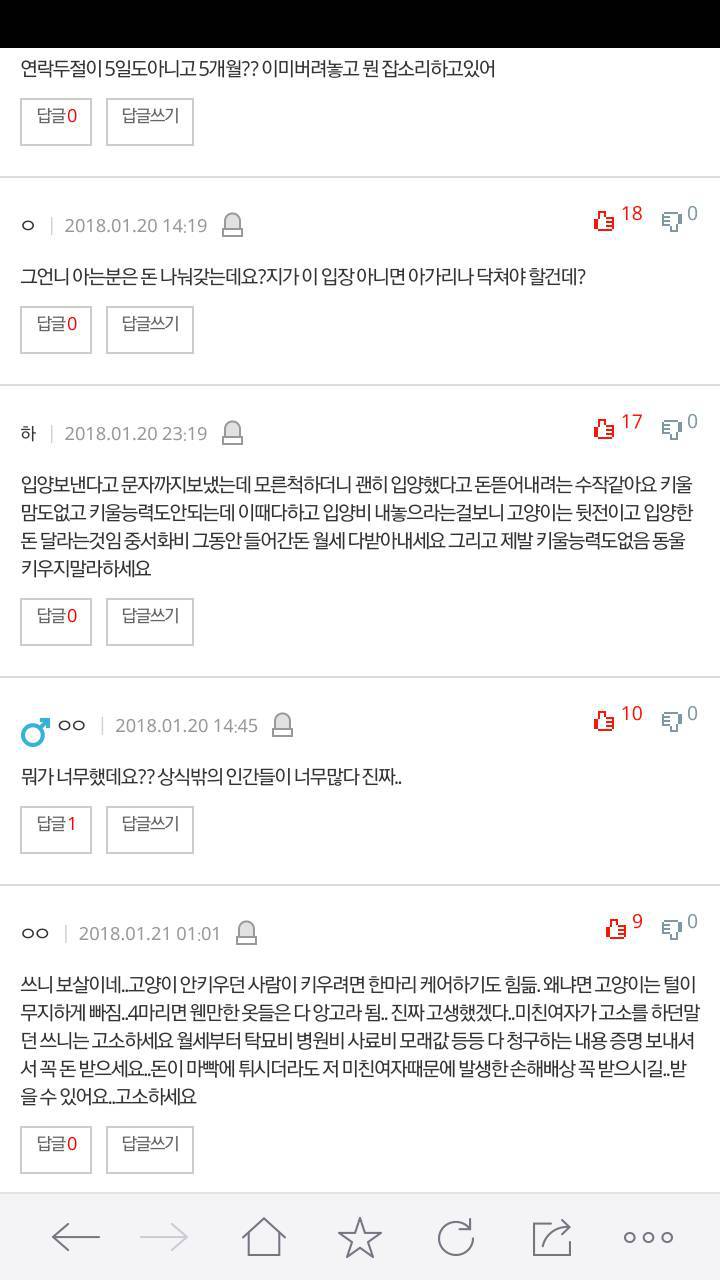 추가)고양이 입양보내서 주인인 언니가 고소한데요 | 인스티즈