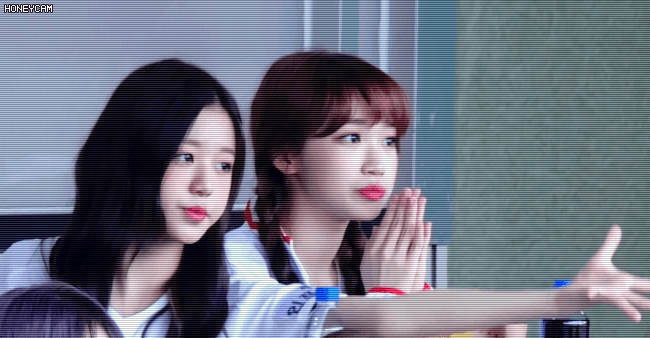 아이즈원 귀여운 빵떡 김채원.jpgif | 인스티즈