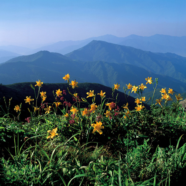 지리산 노고단의 풍경 | 인스티즈