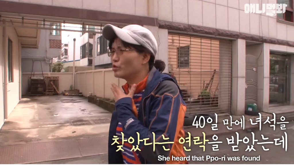 대낮에 남의 개를 납치한 여자 | 인스티즈