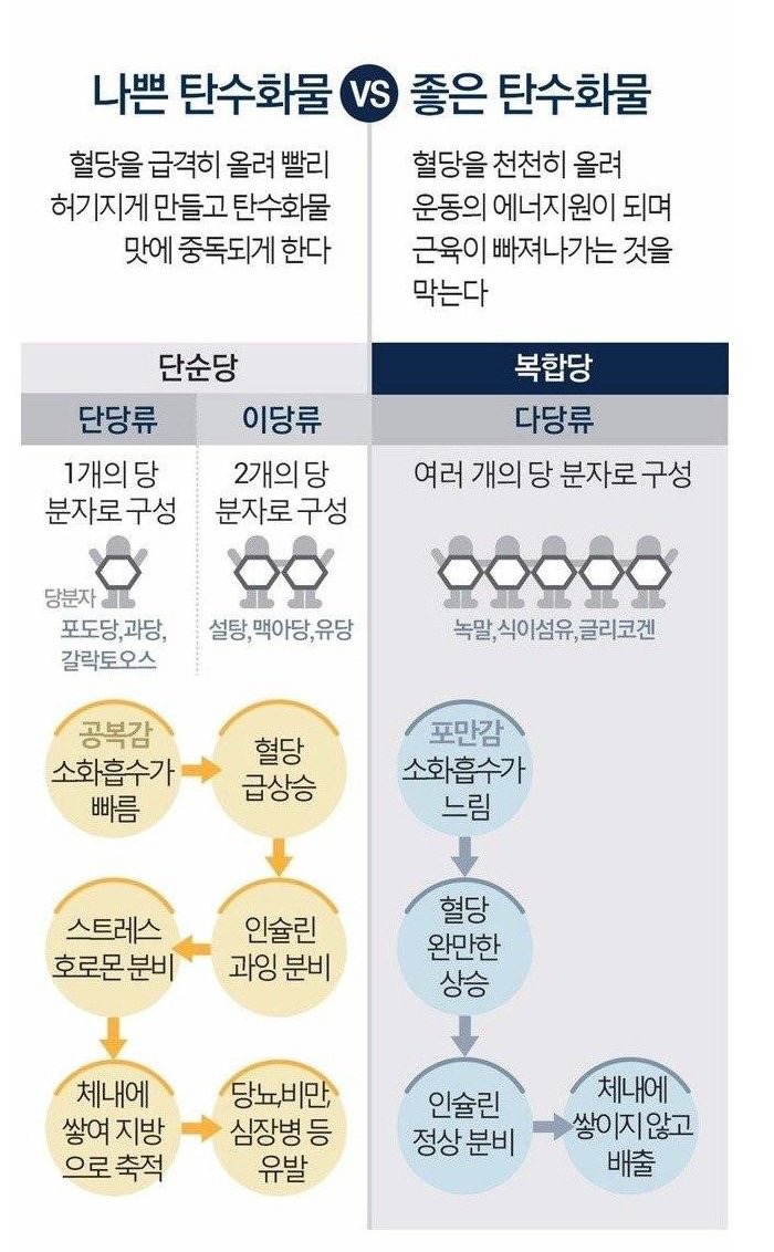 반드시 필요하지만 과하면 안되는 탄수화물의 모든 것 | 인스티즈