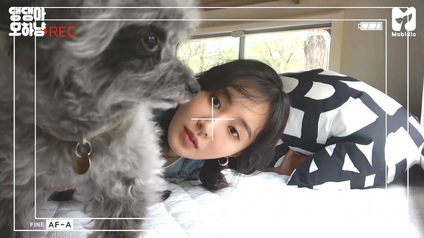 99D045425EF6647D088736