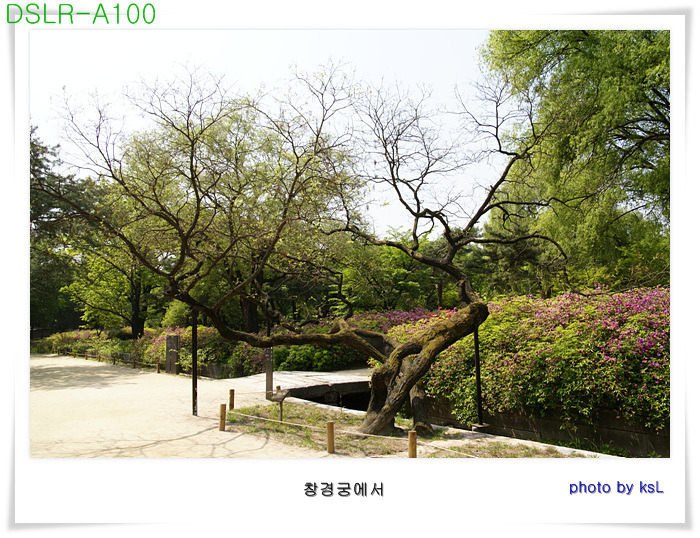 주식회사세연정 이미지