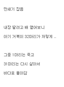 어느 야전인의 방생 | 인스티즈