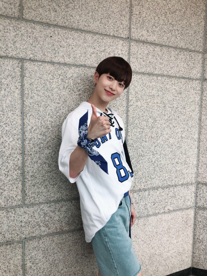 라운 이미지