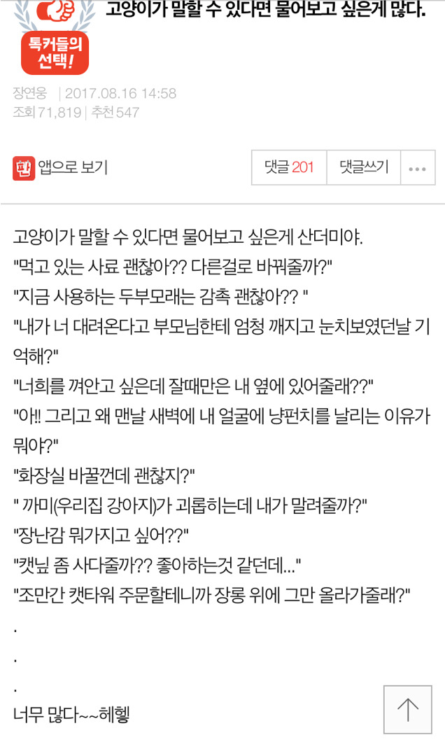 고양이가 말할 수 있다면 물어보고 싶은게 많다 | 인스티즈