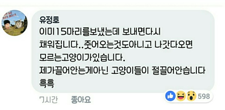 차라리 날 죽여...라는 제목으로 올라온 글(feat 집사).jpg | 인스티즈