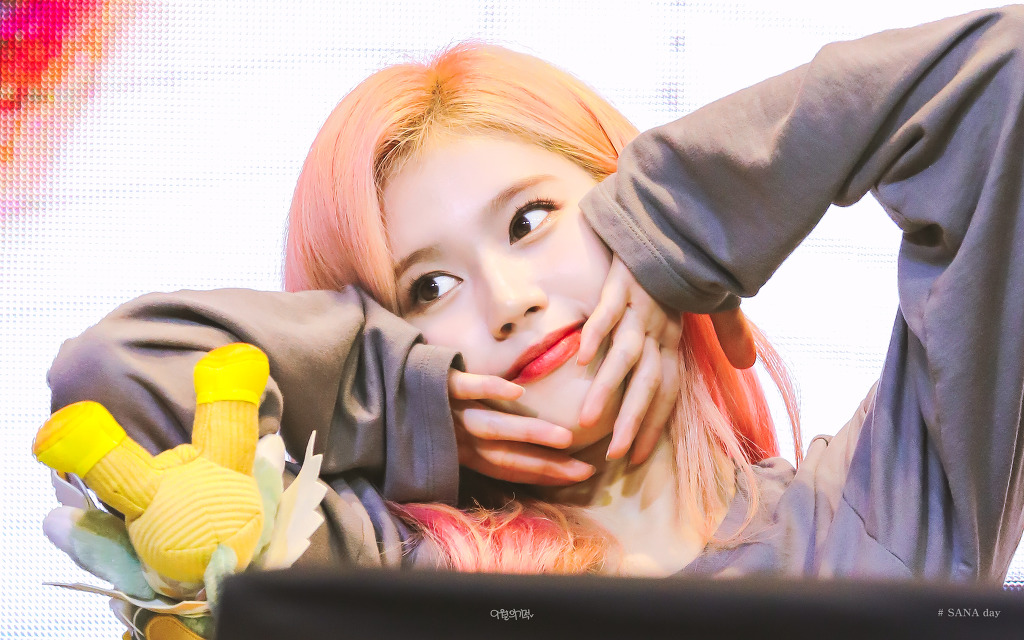 오늘이 생일인 트와이스 사나.jpgif (335장) | 인스티즈