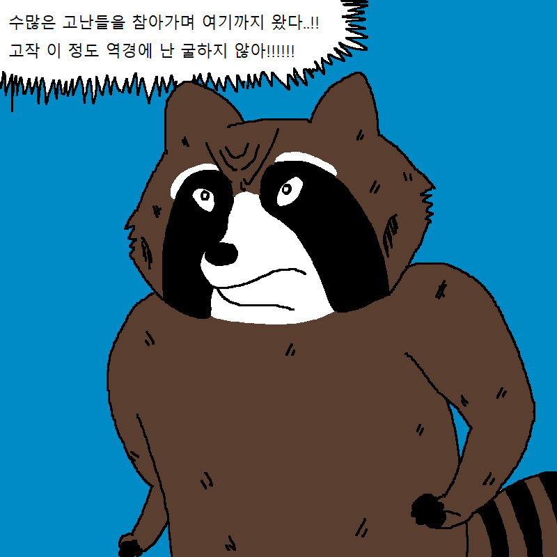 가상화폐 투자했다가 강제 존버하는 너구리 | 인스티즈