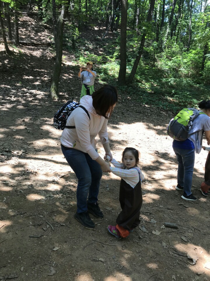 그린파티 이미지