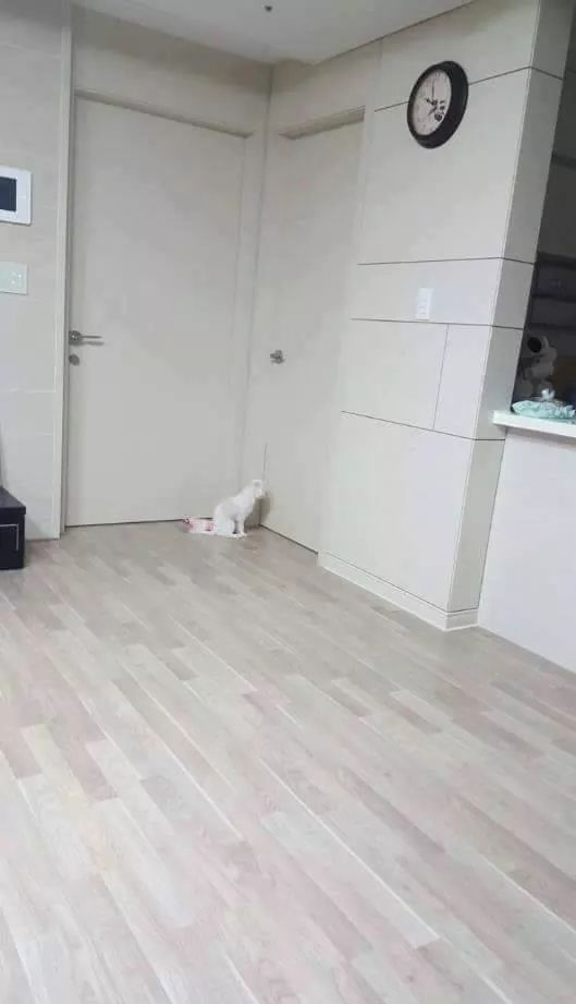 외출한 가족 집에 빨리 돌아오게 하는 방법.jpg | 인스티즈