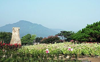꽃단지 이미지