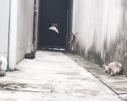 팬심빼고 봐도 솔직히 멋있는 짤.gif | 인스티즈